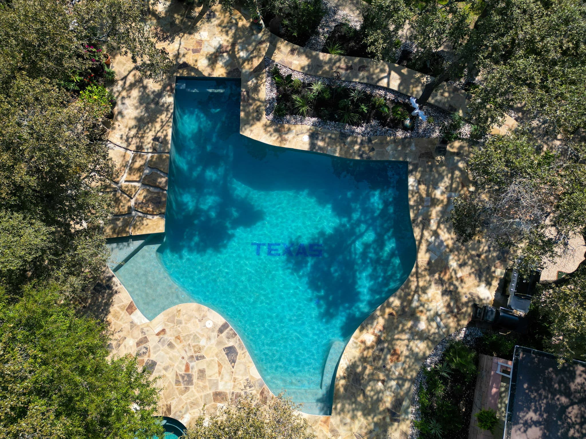 Backyard pool remodel with new tile and finish